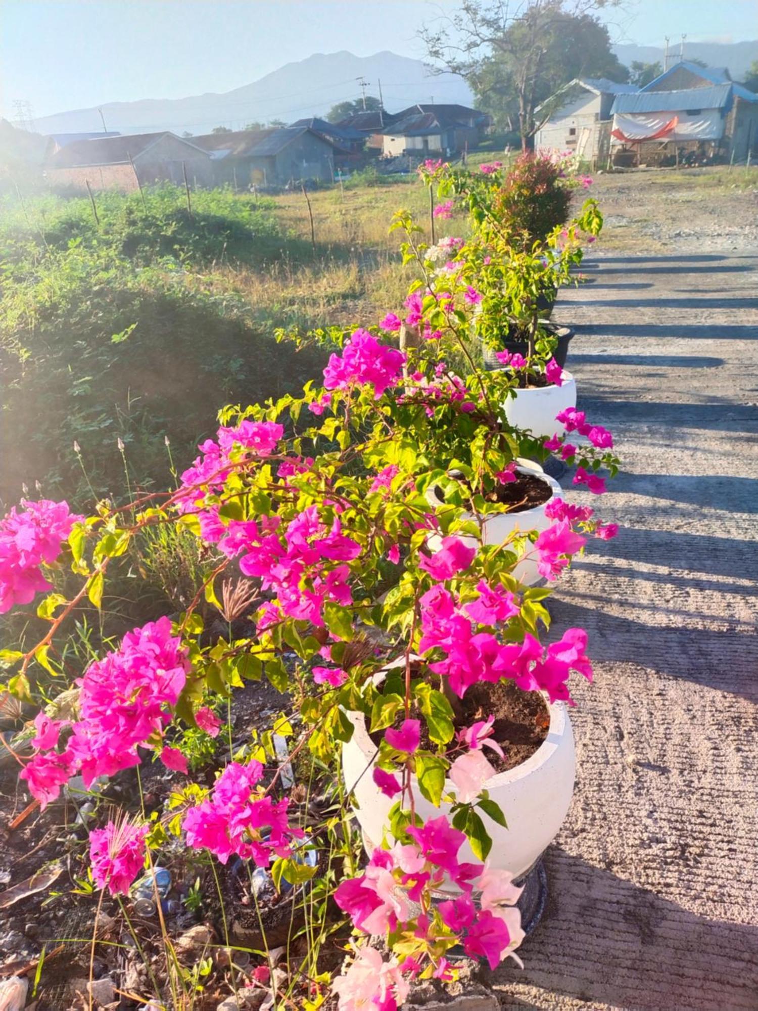 La Geiro Villa 라부안 바조 외부 사진